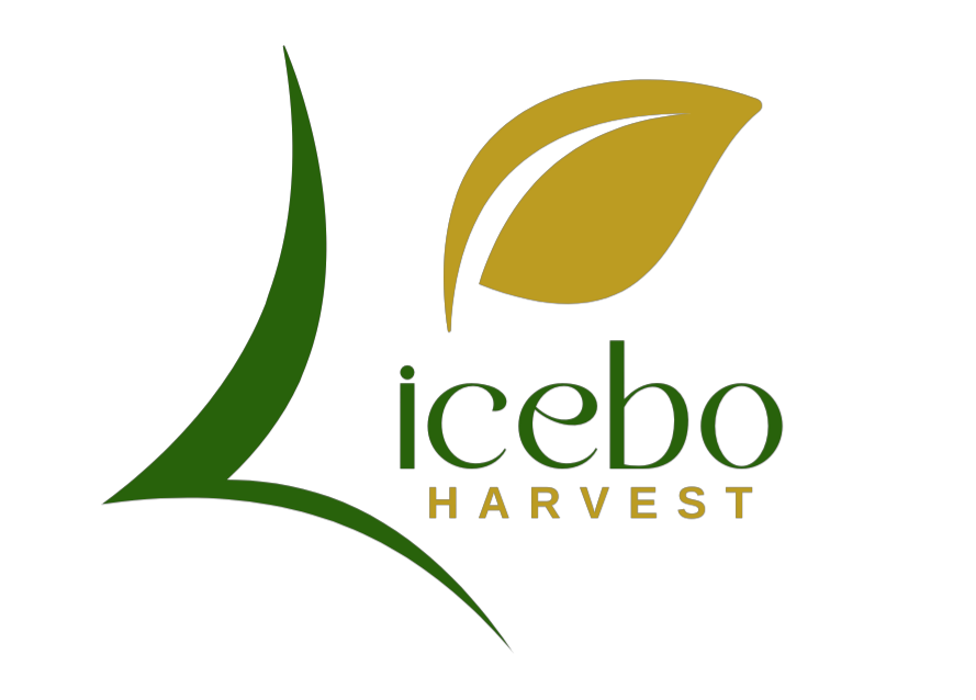 Licebo Harvest